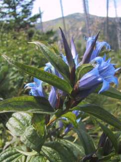 IMG_1476.JPG